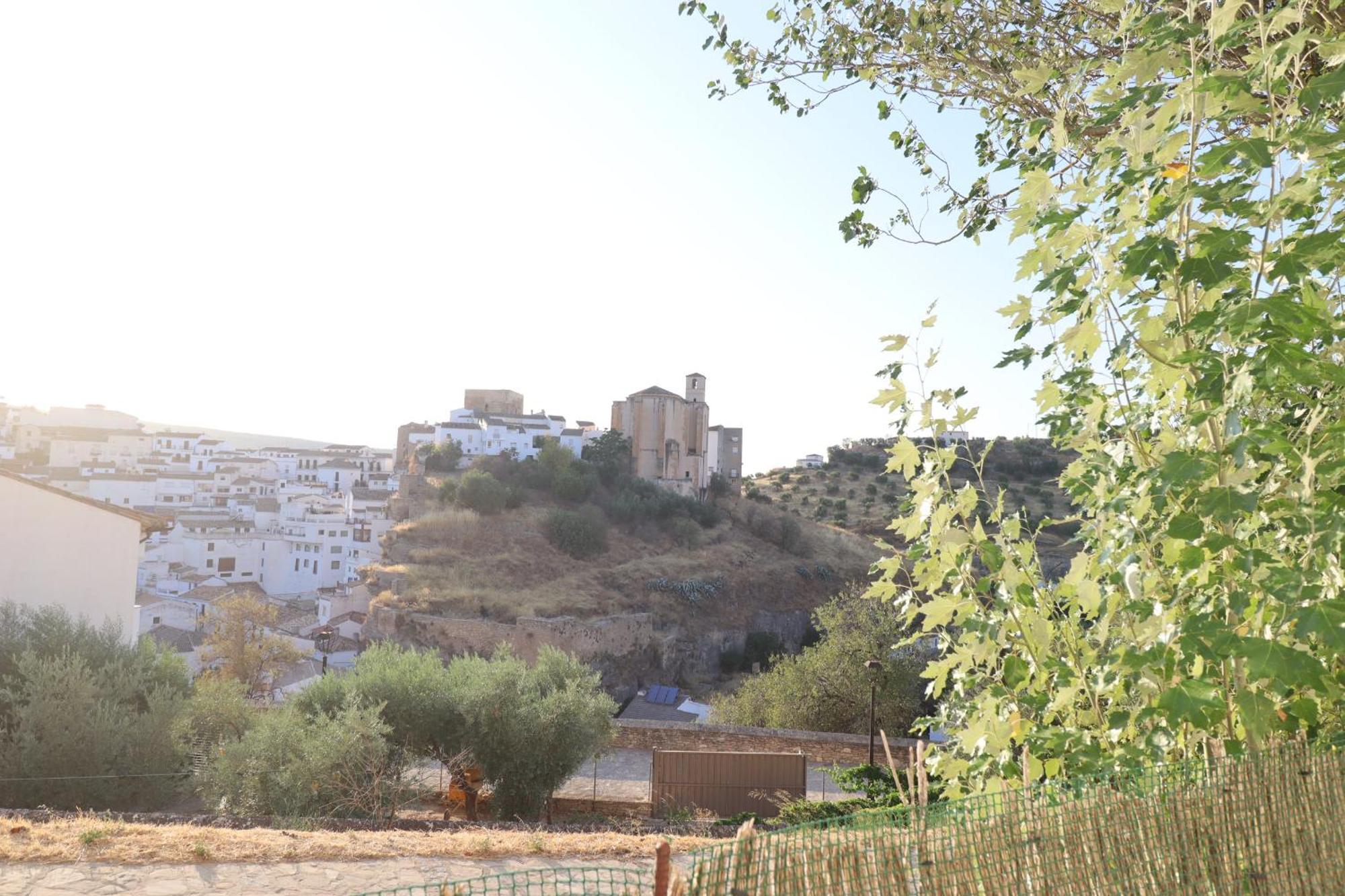 Apartamento El Mirador Del Parque Setenil De Las Bodegas エクステリア 写真